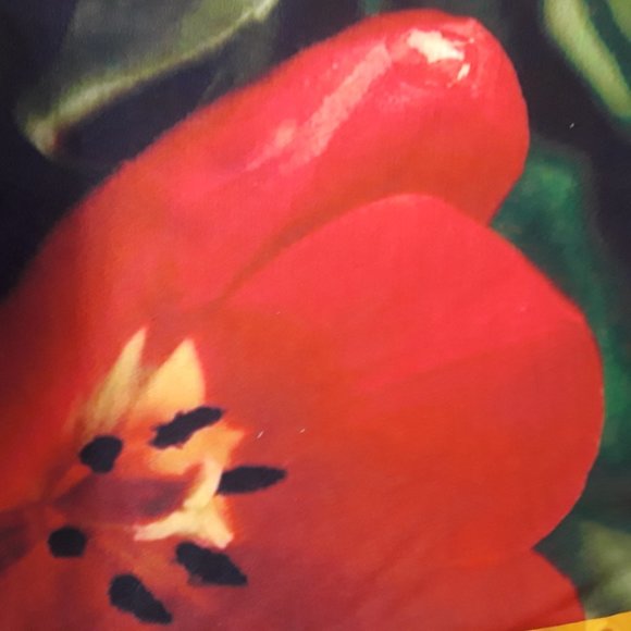 Red Flower Neck Gaiter Ski Mask Face Mouth Cover - Picture 2 of 3